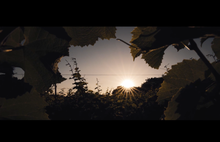 Film sensoriel à Liège